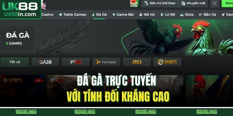 Đá gà trực tuyến với tính đối kháng cao